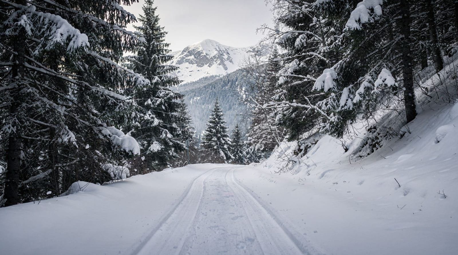 Rila Mountain Winter Day Trip