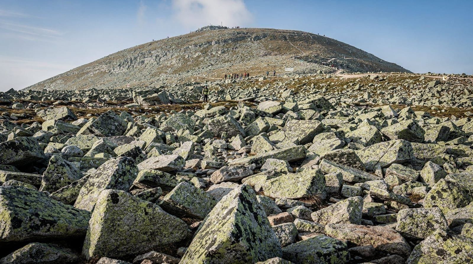 From Sofia: One-Day Tour of Vitosha Mountain